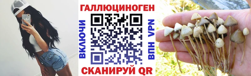Галлюциногенные грибы мицелий  Полтавская 